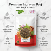 IndianJadiBooti Indrayan Beej (Citrullus Colocynthis Seeds) | 100g | Raw Tumba/Hanzal Seeds | Traditional Ingredient for Hair Oil & Massage Blends (Cleaned & Dried)