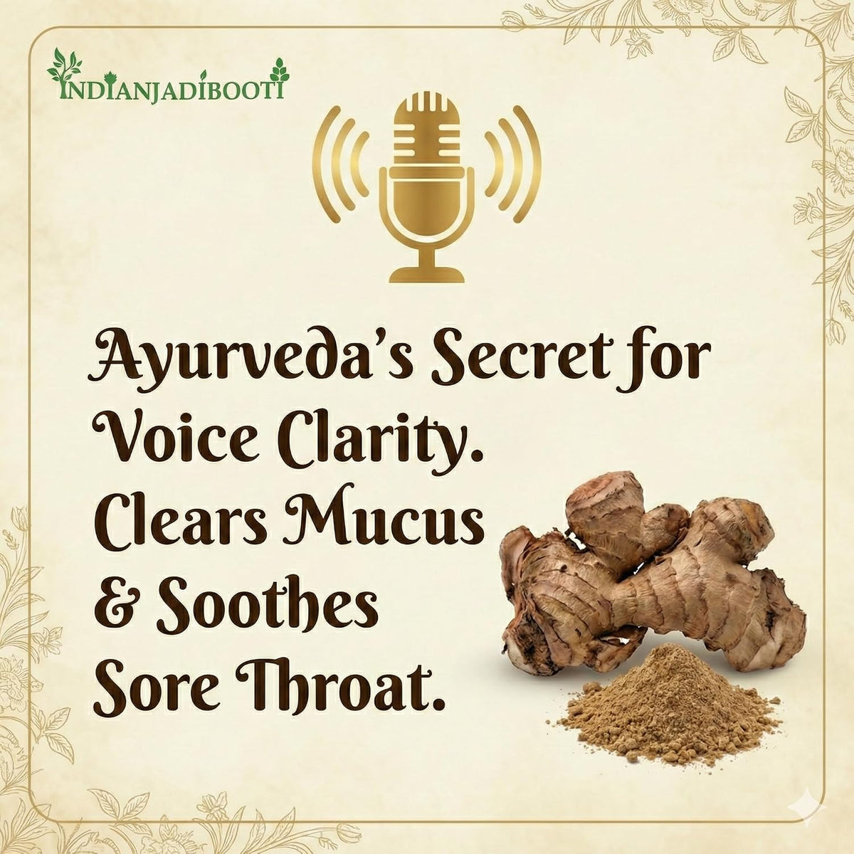 IndianJadiBooti Pure Kulanjan Root (Alpinia Galanga) | Traditional Botanical for Respiratory Harmony, Vocal Clarity & Kapha Balance- 100g Pack