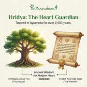 IndianJadiBooti Arjun Ki Chaal (Arjuna Bark) - 250g | Terminalia Arjuna for Heart Wellness & Healthy BP Support | Marudha Pattai/Tella Maddi | Natural Cardio Tonic & Herbal Tea Cut