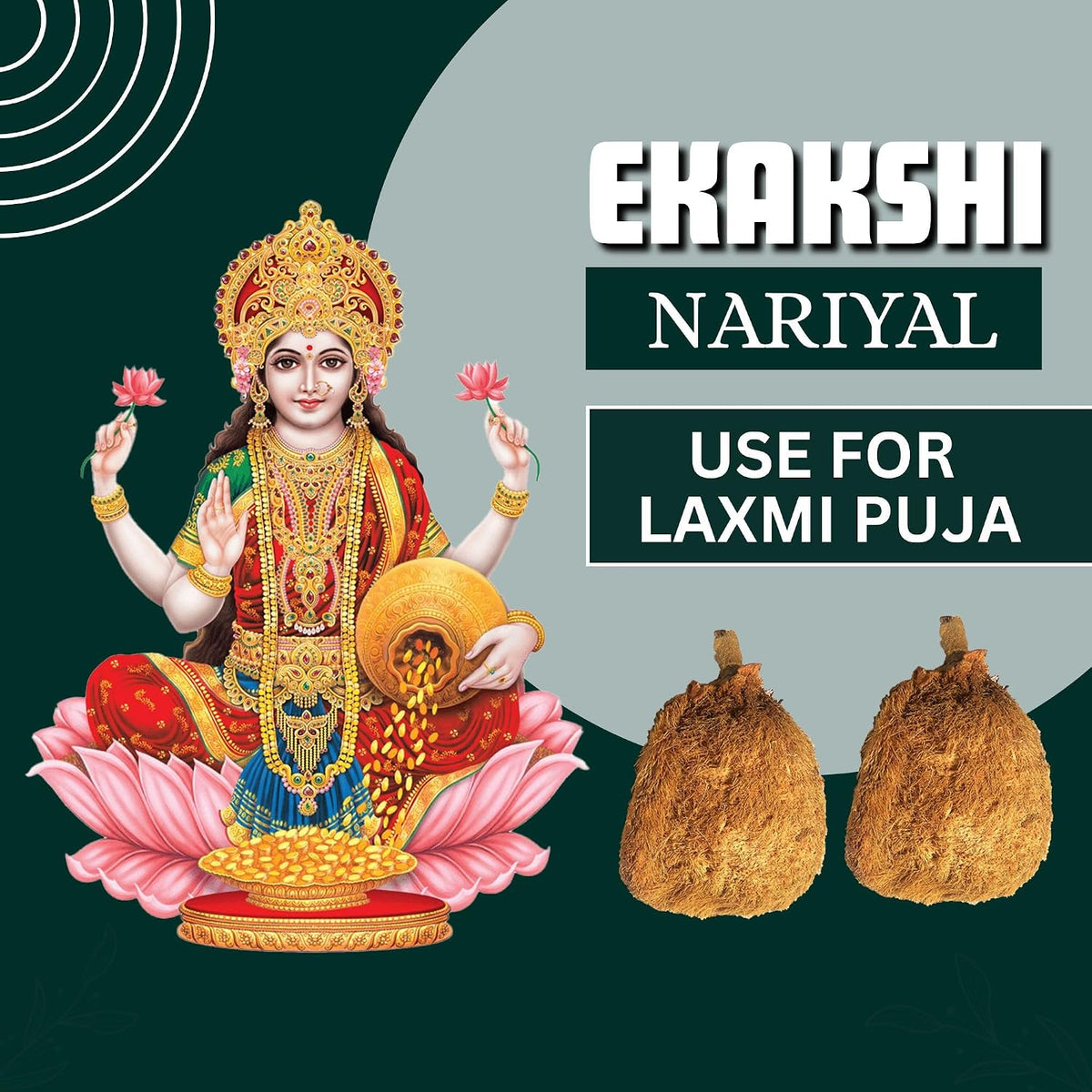 BrijBooti Ekakshi Nariyal - One Eye Coconut For Pooja
