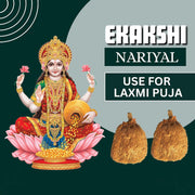 BrijBooti Ekakshi Nariyal - One Eye Coconut For Pooja