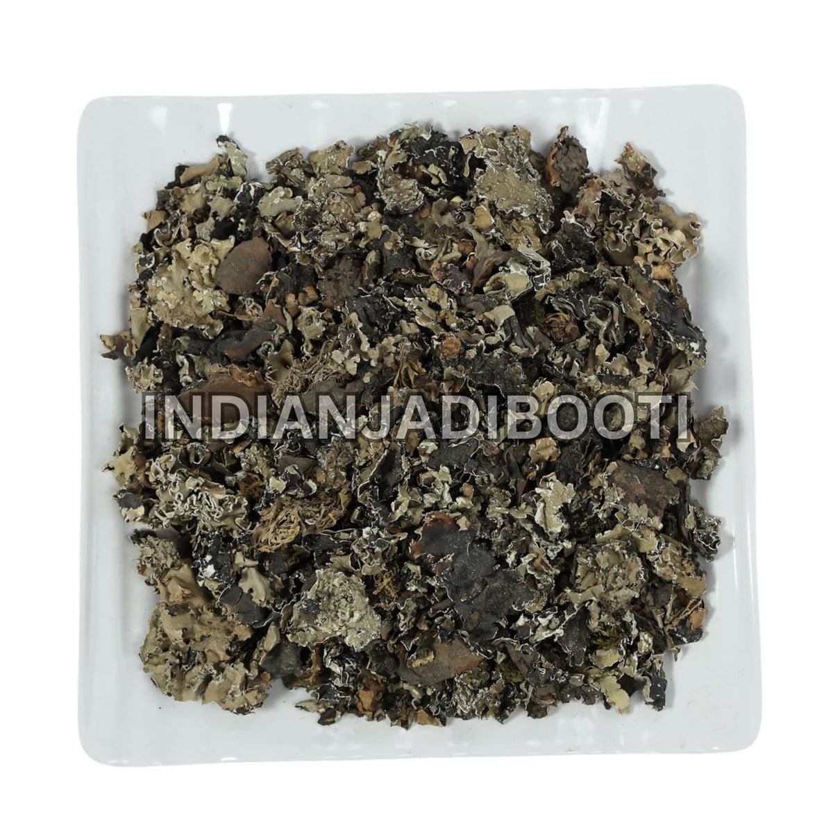 IndianJadiBooti Chadila (Stone Flower/Kalpasi) | Helps Improve Digestive and Respiratory health | 100 Grams | (Pack Of 2)