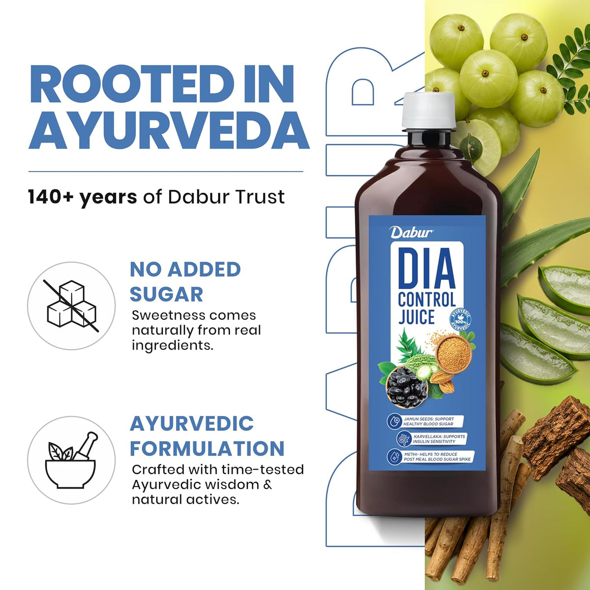 Dabur Dia Control Juice - 500ML | Clinically Proven Diabetic Care | Supports Healthy Blood Sugar Levels & Insulin Sensitivity | Reduces Post Meal Sugar Spikes | Amla, Karela, Jamun, Triphala & More