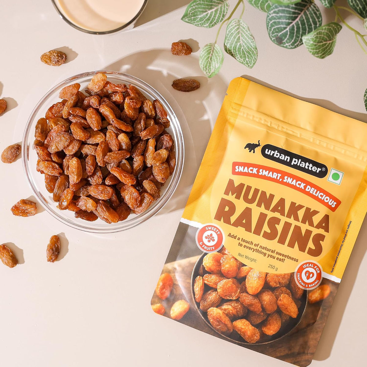Urban Platter Premium Munakka Raisins, 250g (Naturally Sweet & Juicy | Rich in Antioxidants | Contain seeds | Ayurveda Superfood)