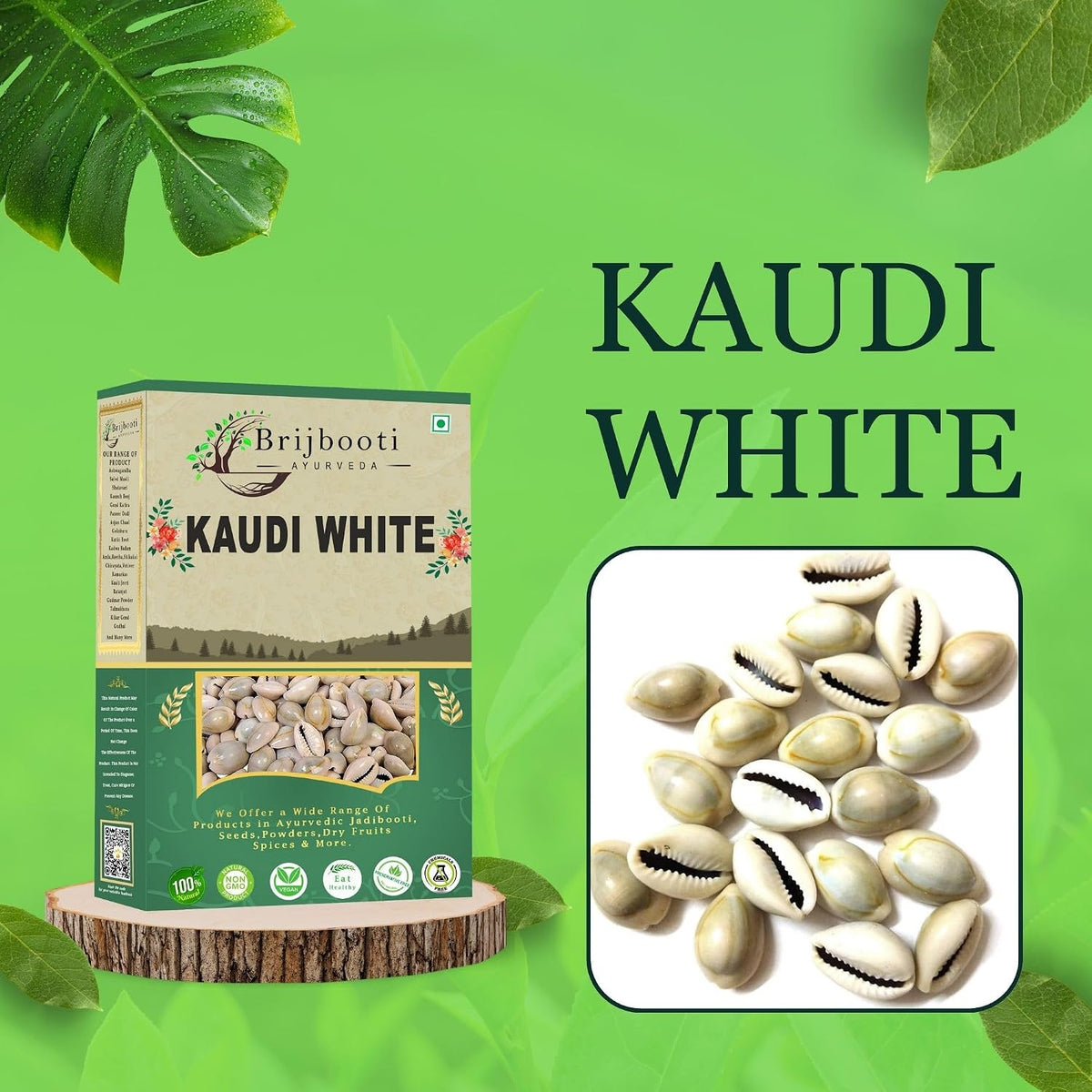 BrijBooti Natural White Kodi - White Kaudi - Safed Kawri - Kodi - Laxmi and Diwali Puja Decorative Article (21 Pieces)