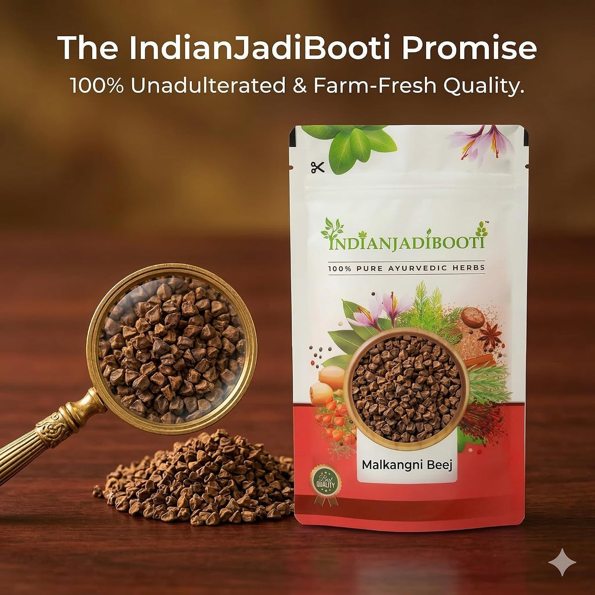 IndianJadiBooti Malkangni Beej - Jyotishmati Seeds - Celastrus paniculatus | Malkangani Seed | Stress Relief Good for Appetite (100 Grams pack)