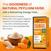 Baidyanath Asli Ayurved Isabgol Orange flavour- Psyllium Husk Powder 200gm (Pack of 2) | Boosts Digestion | Constipation Relief Naturally | Rich Source Of Dietary Fiber Supplement