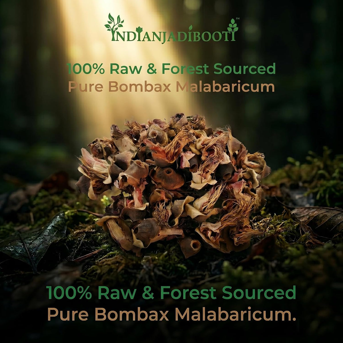 IndianJadiBooti Semal Phool (Bombax Malabaricum) - Raw Shalmali/Simbal Flower | Natural Cooling, Skin Care & Wellness | Premium Dried Red Silk Cotton Tree Flowers (Cleaned)