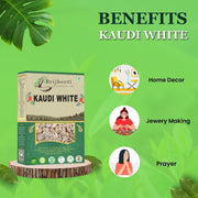 BrijBooti Natural White Kodi - White Kaudi - Safed Kawri - Kodi - Laxmi and Diwali Puja Decorative Article (21 Pieces)