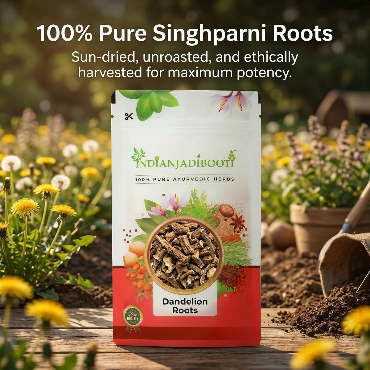 IndianJadiBooti Elite Detox Bundle: Nettle Leaves & Dandelion Root – Promotes Superior Filtration, Nutrient Density & Systemic Balance – 250gm Pack
