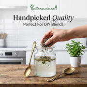 IndianJadiBooti Pure Bhringraj Dry (Whole Herb) | Raw Eclipta Alba for DIY Hair Oil Infusions, Scalp Nourishment & Hepatic Vitality