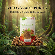IndianJadiBooti Kulanjan Powder (Alpinia Galanga) – Ayurvedic Root for Digestive, Respiratory & Vitality Support | 100 Grams | Pack Of 2