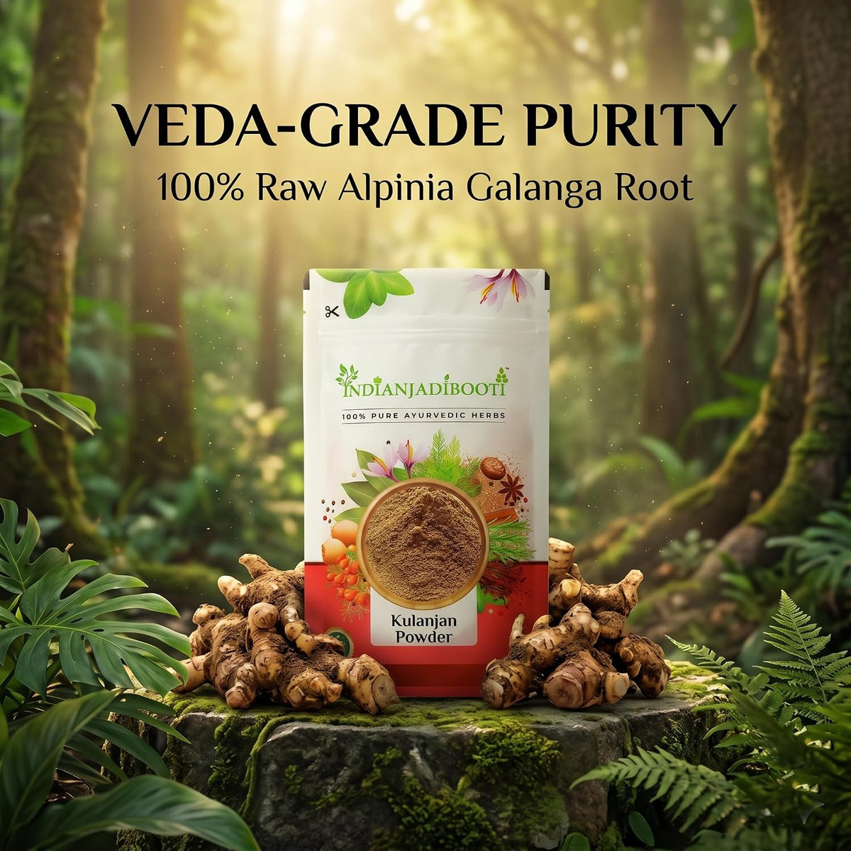 IndianJadiBooti Kulanjan Powder (Alpinia Galanga) – Ayurvedic Root for Digestive, Respiratory & Vitality Support | 100 Grams | Pack Of 2