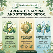 IndianJadiBooti Gokshura Powder (Gokhru Chota) for Fitness & Active Lifestyle | 100% Pure Tribulus Terrestris Churna | Natural Ayurvedic Supplement for Strength & Endurance | Non-GMO, Vegetarian | 250g (Pack Of 2)