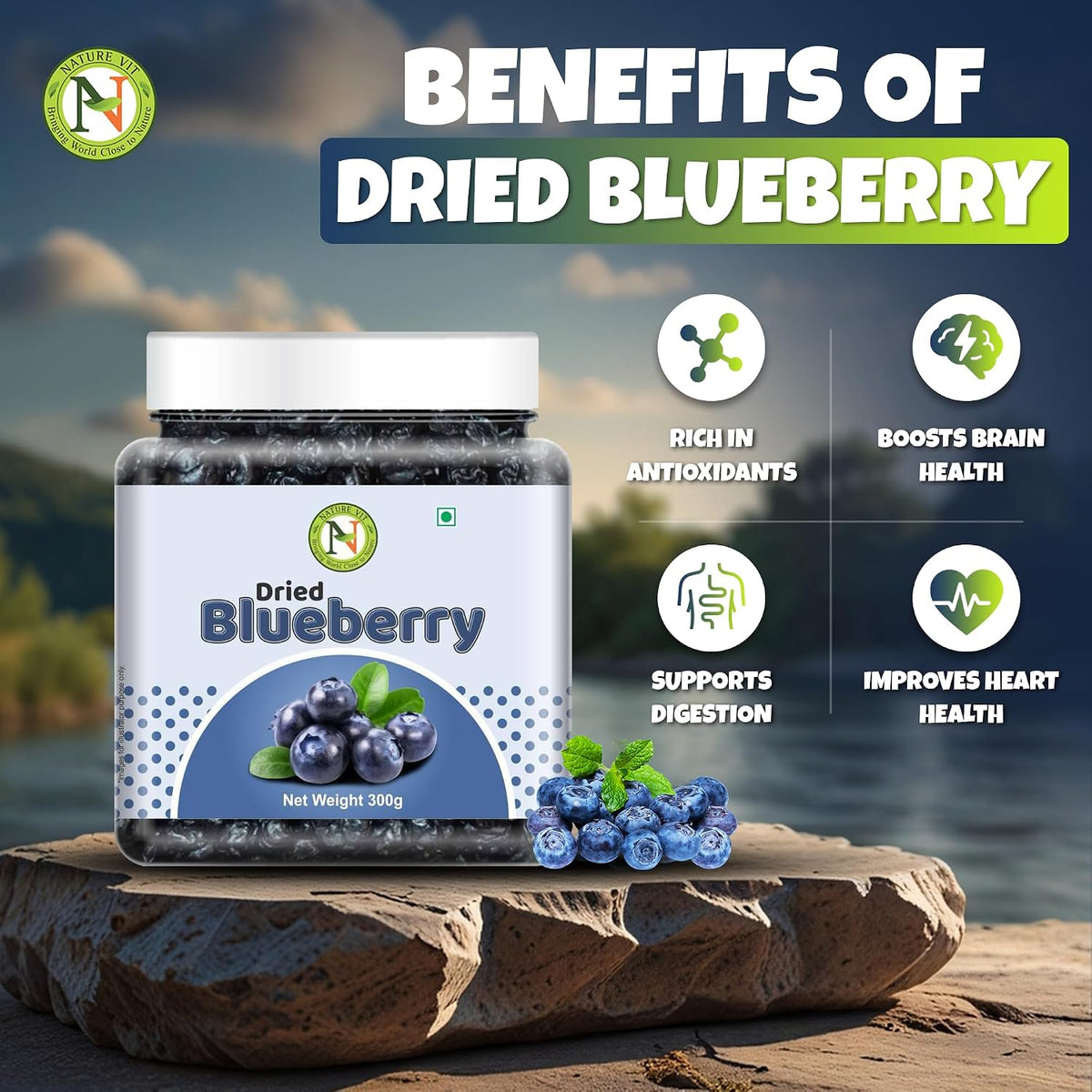 NatureVit Dried Blueberries 300 Gram | Sweet & Tart Antioxidant-Rich Berries | Healthy Snack for Kids & Adults | Ideal for Baking, Oats & Smoothies