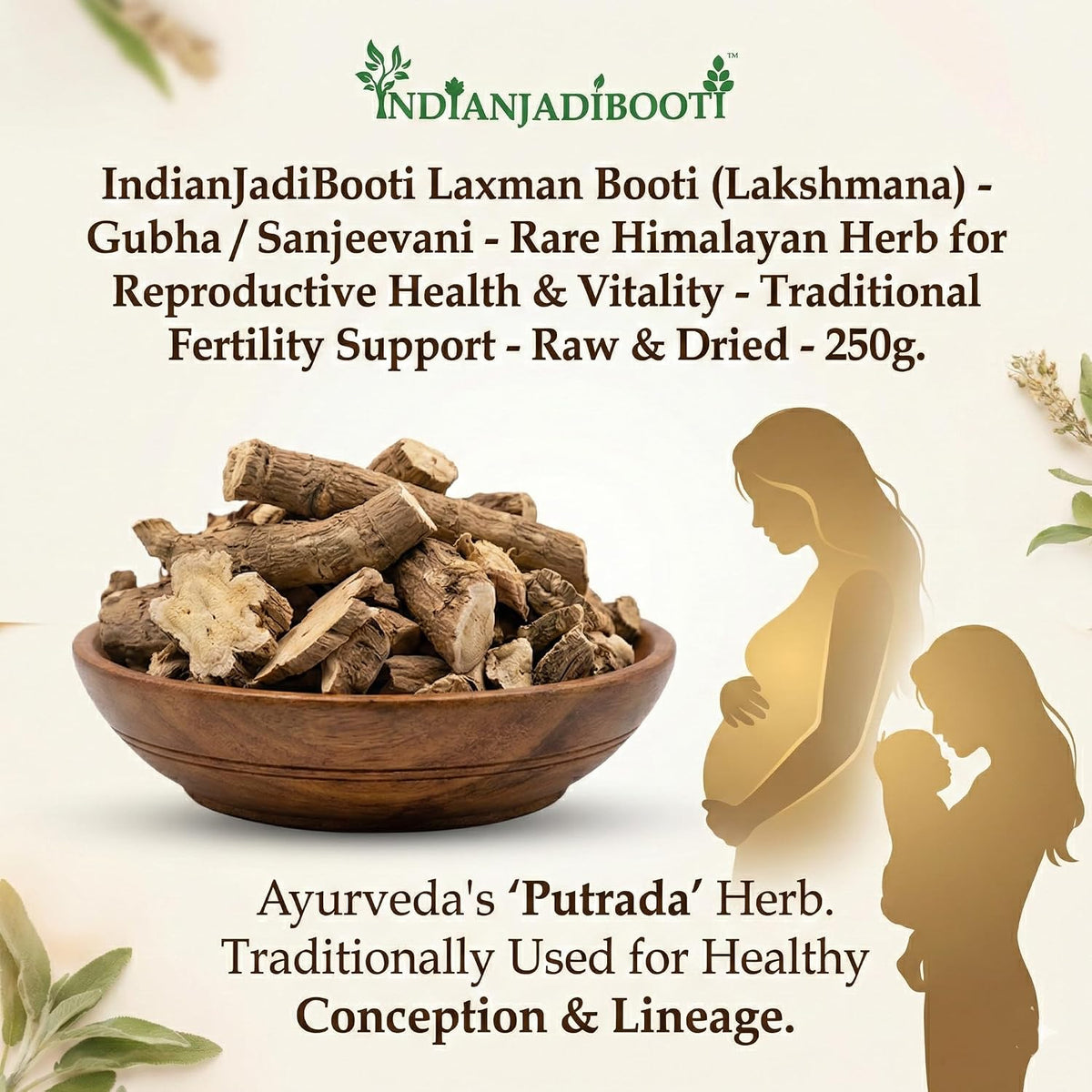 IndianJadiBooti Laxman Booti (Lakshmana) - Gubha/Sanjeevani - Rare Himalayan Herb for Reproductive Health & Vitality - Traditional Fertility Support - Raw & Dried - 250g