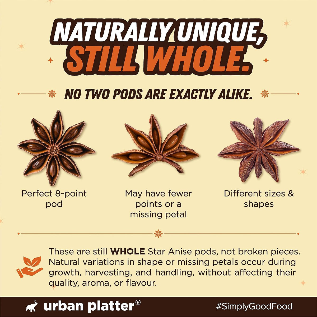 Urban Platter Star Anise, 50g (Chakri Phool | Warm, Licorice like Flavour | Highly Aromatic Spice used in Biryanis, Broths, Asian Cuisine & Baking)