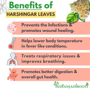 IndianJadiBooti Harsingar Leaves, 100 Grams