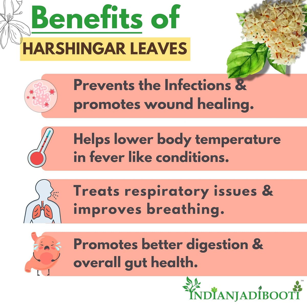 IndianJadiBooti Harsingar Leaves, 100 Grams