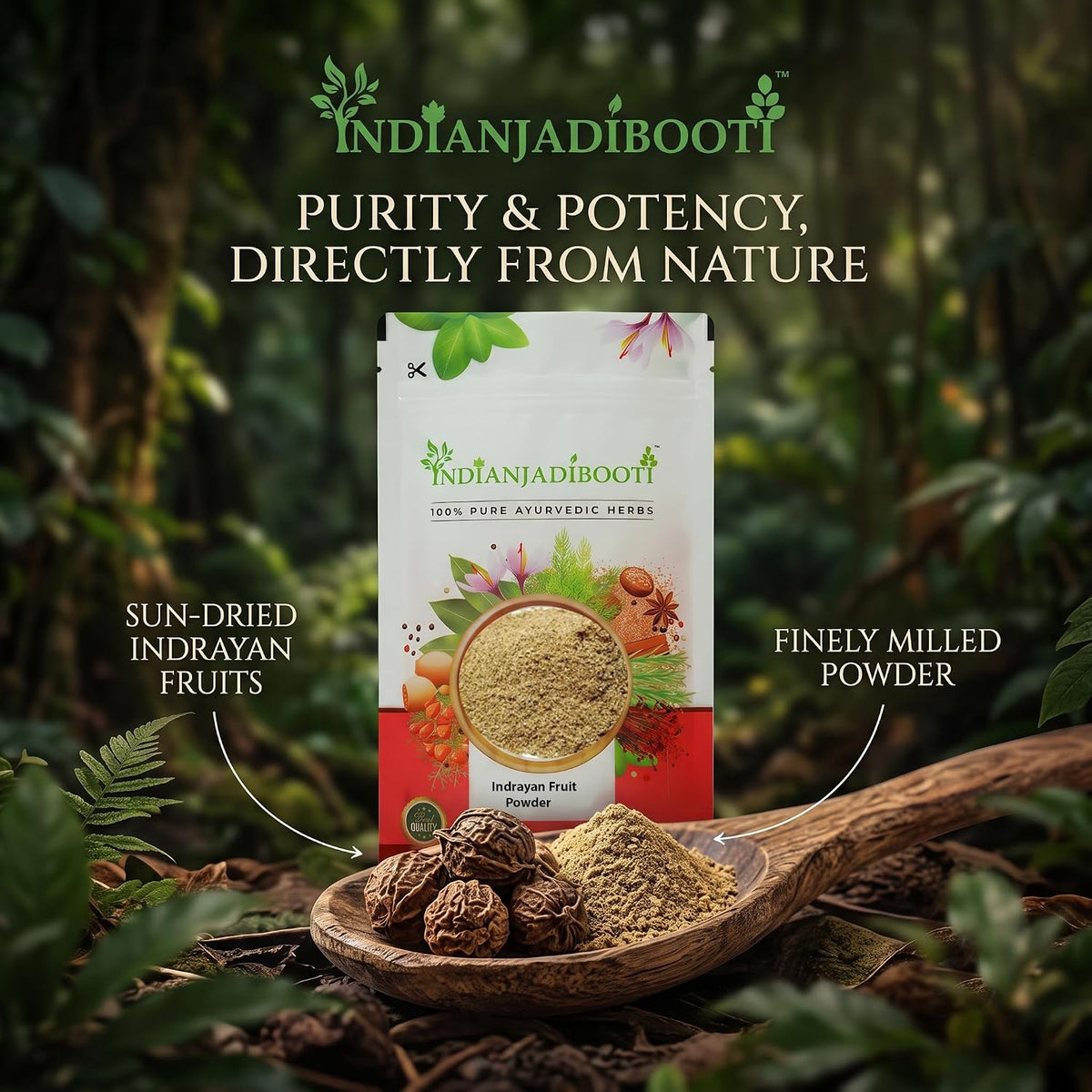 IndianJadiBooti Indrayan Phal Powder - Citrullus Colocynthis - Bitter Apple - Traditional Botanical for Systemic Purifying, Metabolic Harmony & Pitta Balance - 100g