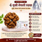 Astrodidi 4 Mukhi Nepali Rudraksha | Certified Original Four Face Rudraksha