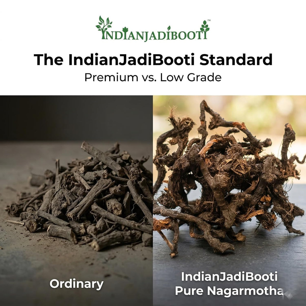 IndianJadiBooti Nagarmotha Whole (100g) - Mustak Rhizome (Cyperus Rotundus) - Nut Sedge/Tunga Gaddalu - Natural Aromatic Herb for Digestion, Hair Care, Skin Ubtan & Women's Wellness - Raw
