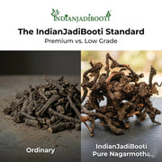 IndianJadiBooti Nagarmotha Whole (100g) - Mustak Rhizome (Cyperus Rotundus) - Nut Sedge/Tunga Gaddalu - Natural Aromatic Herb for Digestion, Hair Care, Skin Ubtan & Women's Wellness - Raw