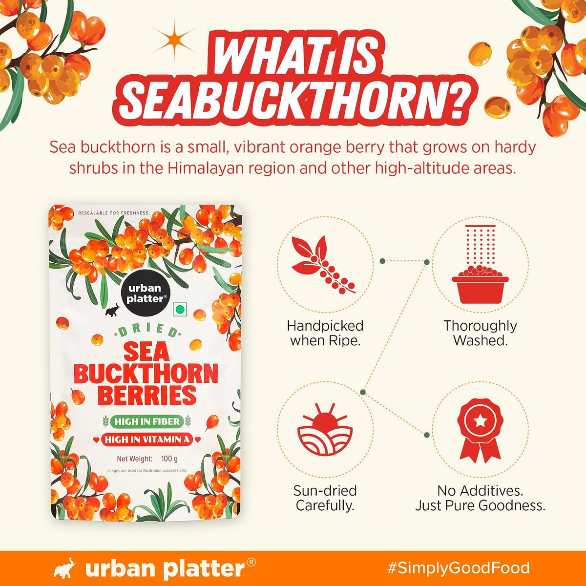 Urban Platter Dried Sea Buckthorn Berries, 100g (High in Vitamin A | High in Fiber | Tart & Tangy Superfruit | Add to Trail Mixes, Smoothies, Teas & Baking)