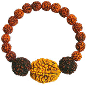 RUDRADIVINE Unisex Brown Rudraksha 2 and 5 Mukhi Face Beads Mala Wrist Band