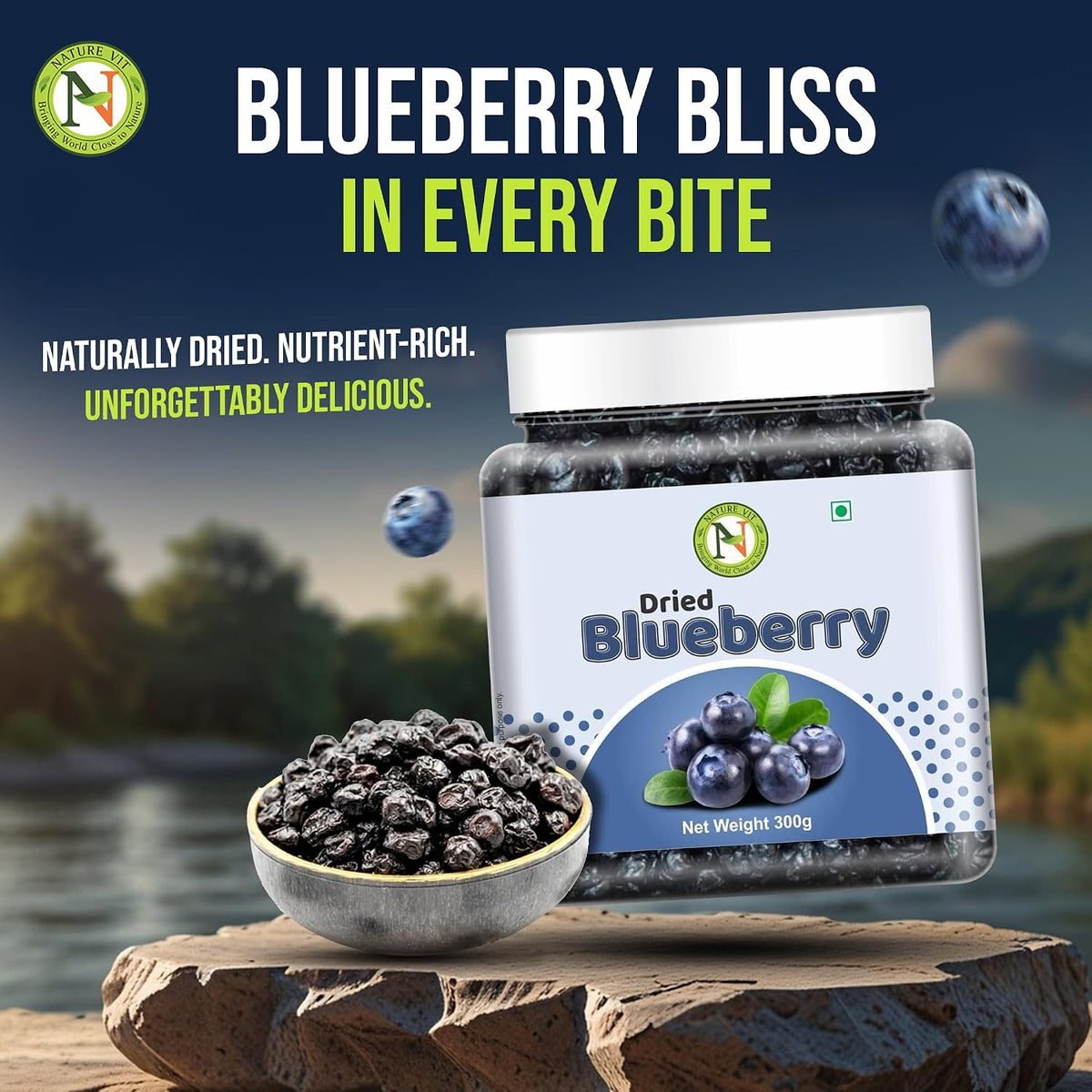 NatureVit Dried Blueberry & Cranberry Combo 600 Gram (300g + 300g) | Healthy Dried Berries | Antioxidant-Rich | Low Calorie Snack | Ideal for Snacking, Baking, Breakfast & Desserts