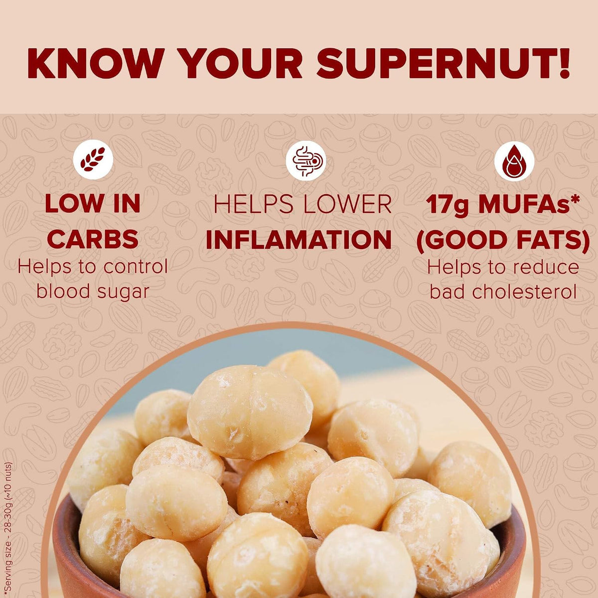 Urban Platter Roasted Salted Macadamia Nuts, 100g (Crunchy | Guilt-Free Snacking | Salted to Perfection)