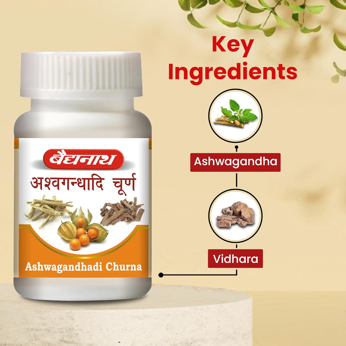Baidyanath Ashwagandhadi Churna 60 GM | Helps Boost Strength 100% Natural | Stamina & Energy | Stress Relief | Made with Pure Ayurved Ingredients for Anxiety & Stress Relief (Pack of 2)