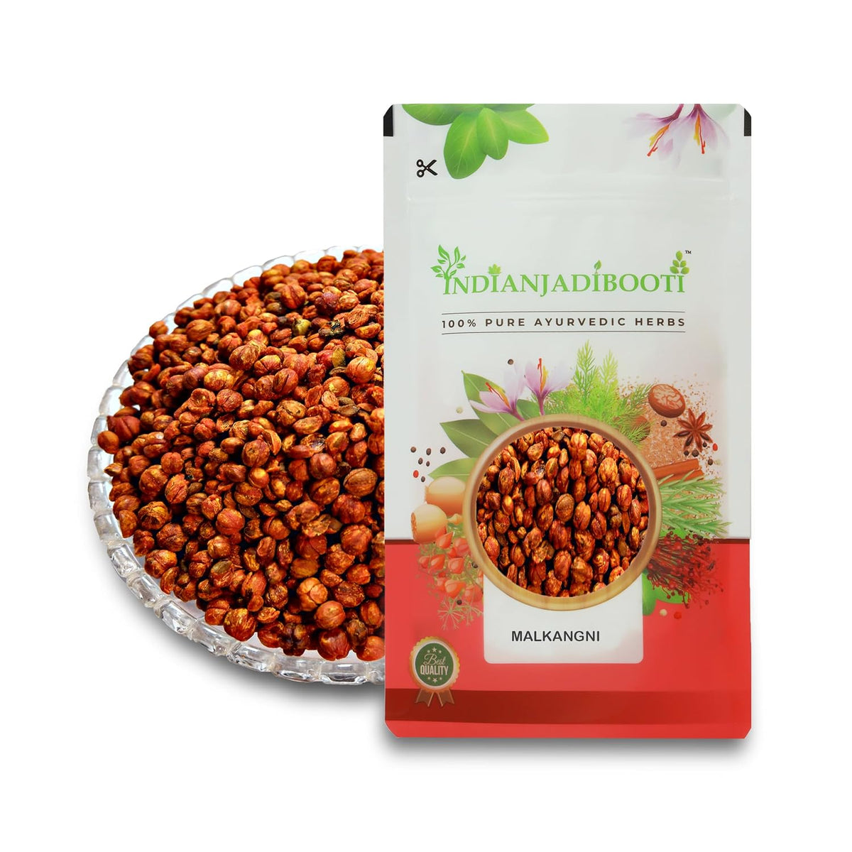 IndianJadiBooti Malkangni Beej - Jyotishmati Seeds - Celastrus paniculatus | Malkangani Seed | Stress Relief Good for Appetite (100 Grams pack)