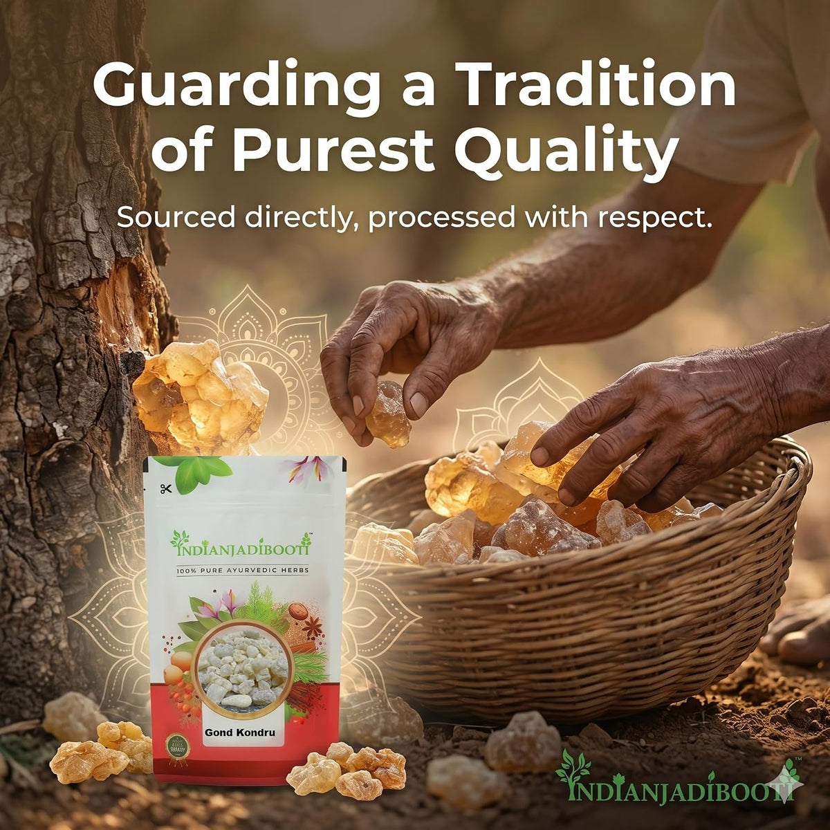 IndianJadiBooti Gond Kondru (400g Pack of 2) | Pure Boswellia Serrata | Shallaki Gum/Salai Guggul for Joint Support & Mobility | Natural Indian Frankincense (Olibanum) | Edible & Aromatic Grade