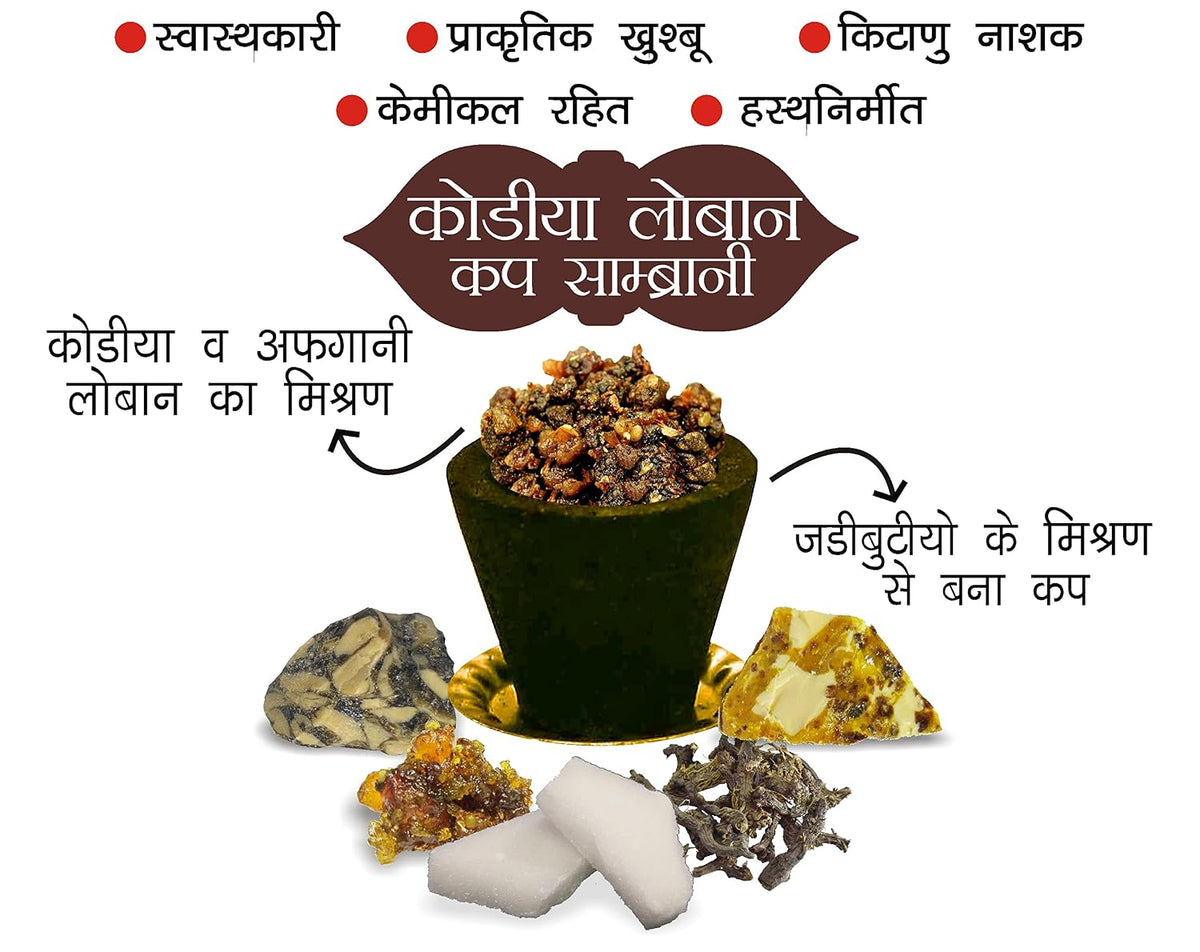 Parag Fragrances Kodiya Loban Sambrani Cup 24Pc Pack Real Loban and Various Herbs/Sambrani Cup for Home Fragrance and Pooja