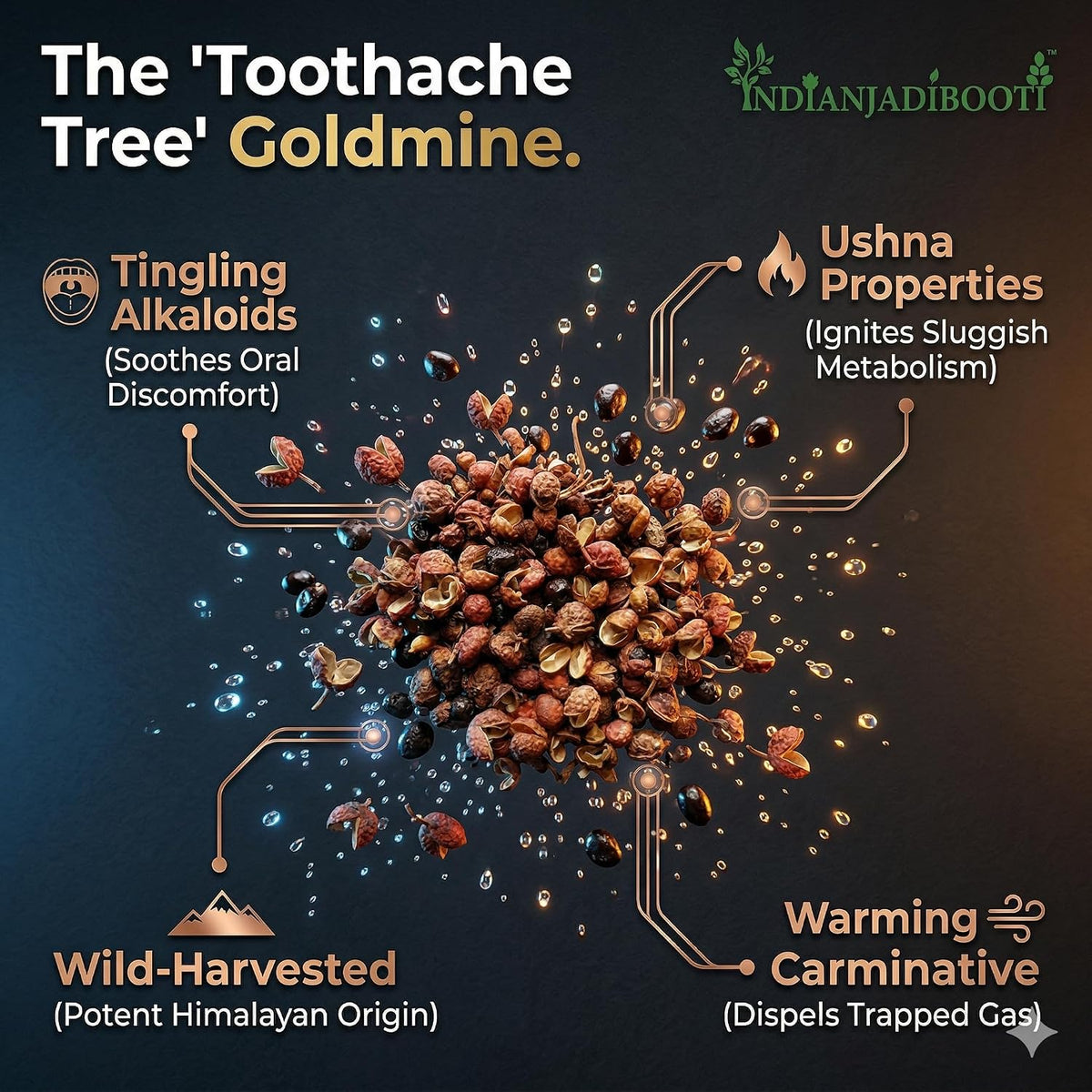 IndianJadiBooti Tumbru Seeds (Beej Tomar/Zanthoxylum Armatum) – Raw Timur Spice for Oral Health, Gum Strength & Digestive Fire – Traditional Himalayan Herb, 100 Grams Pack