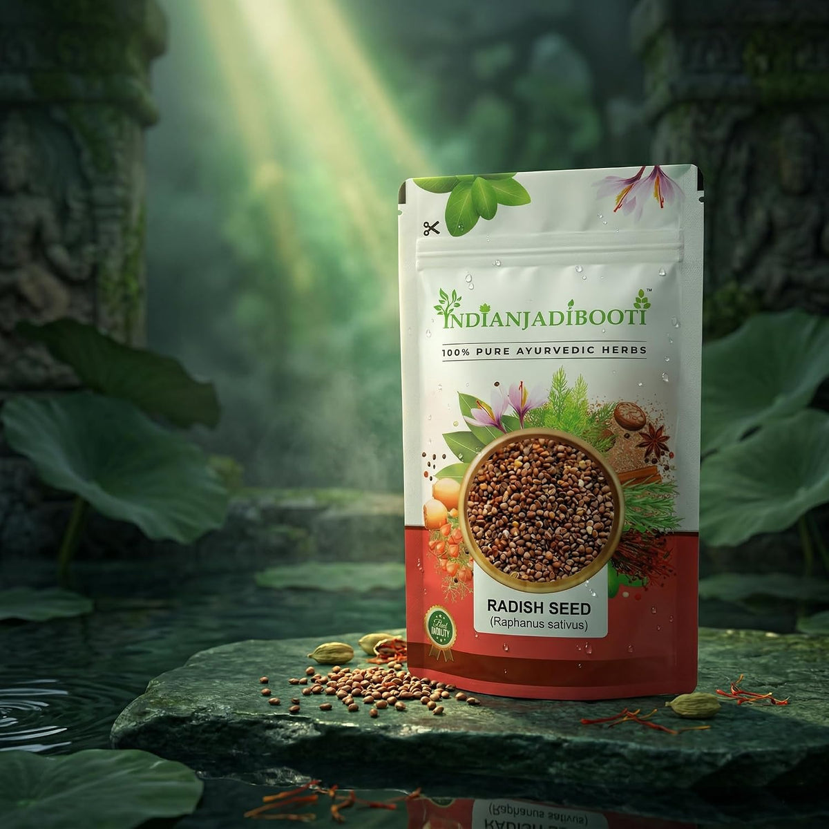 IndianJadiBooti Beej Mooli (Edible Radish Seeds/Moolaka Beej) – 100% Pure Raw Seeds for Digestive Health & Kidney Detox – Helps Support Urinary Wellness & Metabolism 100g Pack