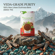 IndianJadiBooti Maida Lakdi Powder | Maida Wood (Litsea Glutinosa) | Pure Medasak for Bone Health, Joints & Swelling | Natural Raw Herb 400g | (Pack Of 2)