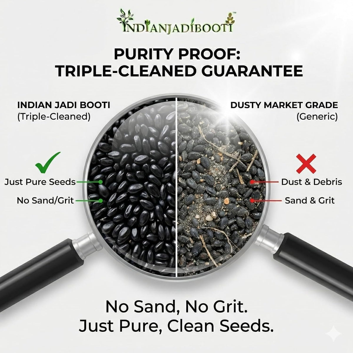 IndianJadiBooti Tukh Malanga (250g) | Premium Sabja Seeds (Sweet Basil) | Tukmaria/Falooda Seeds for Cooling Drinks | High Fiber for Weight Management & Acidity Relief | Natural & Cleaned