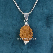 ASTRODIDI 2 Mukhi Rudraksha/Two Face Rudraksh Silver Coated Pendant with Chain for Men and Women | Lab Certified Orginal and Natural Rudraksha