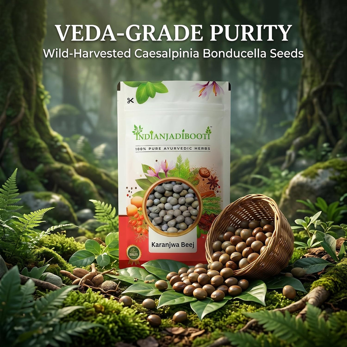 IndianJadiBooti Pure Karanjwa Beej (Latakaranja) | Raw Ayurvedic Bitter Tonic for Women's Cycle Balance, Seasonal Wellness & Gut Detox | 100 Grams | Pack Of 2