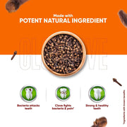 Dabur Herb'l Clove Cavity Protection Toothpaste - 600g (200g x 3) | No added Fluoride & Parabens | Fights Bacteria & Relieves Dental Pain | Provides Pleasant Mouthfeel After Brushing
