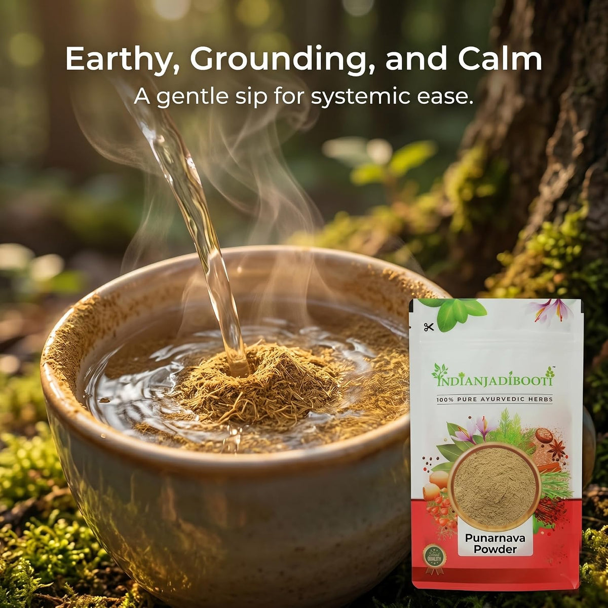IndianJadiBooti Punarnava Powder Boerhavia Diffusa | Supports Kidney Health & Water Balance | Punarnava Churna For Urinary Wellness & Swelling Relief | With Boerhavia Diffusa Root, 3 Packs of 900 Grams