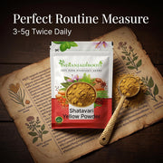 IndianJadiBooti Pure Shatavari Yellow Powder (Asparagus Racemosus) | Traditional Ayurvedic Rasayana for Holistic Female Wellness & Foundational Vitality (100 Grams)