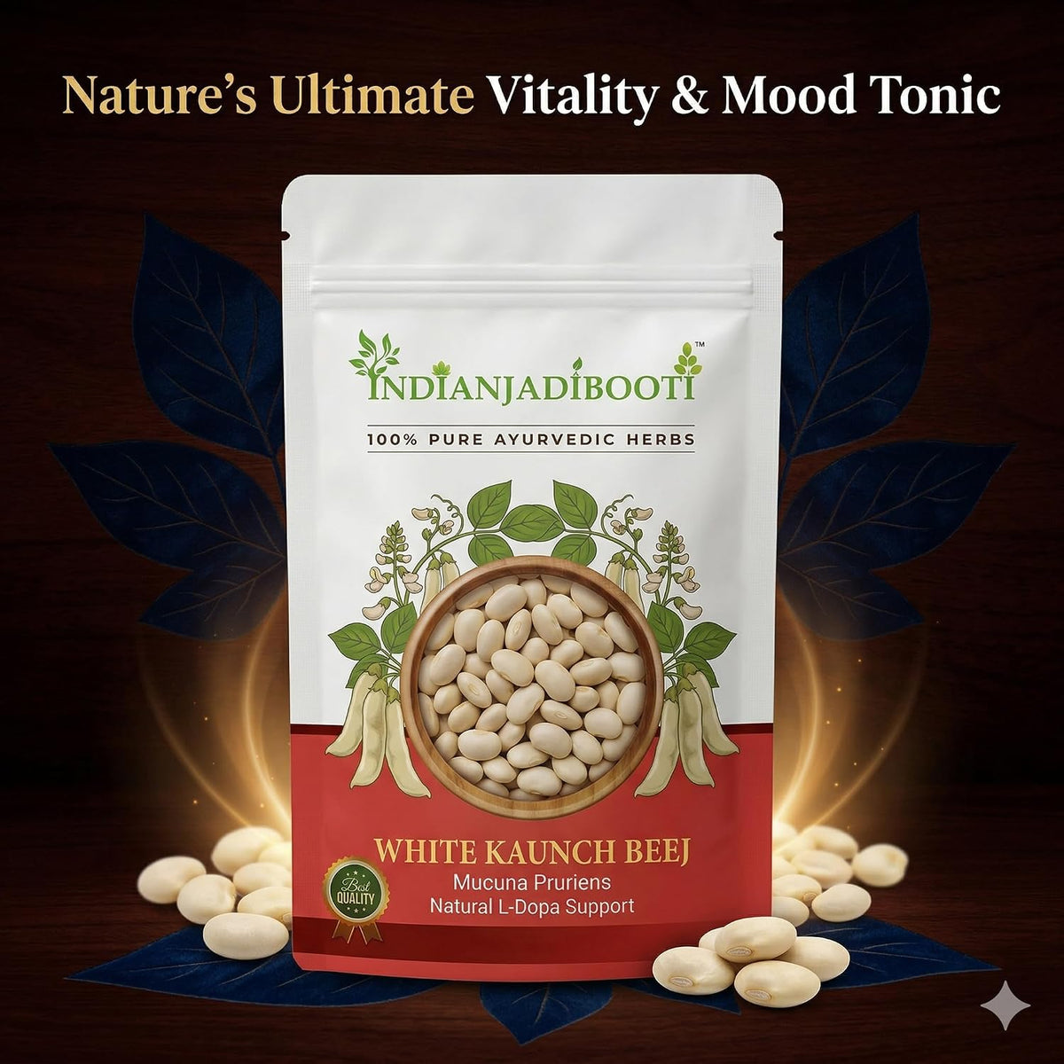 IndianJadiBooti White Kaunch Beej (Mucuna Pruriens/Velvet Bean) – Pure Raw Seeds for Vitality, Muscle Strength & Nervous System Support – Natural Mood Balance (100g)