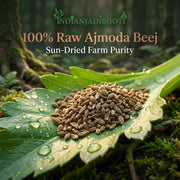 IndianJadiBooti Ajmoda (Beej) – Apium Graveolens | Celery Seeds | 900 Grams Pack | Pack Of 3