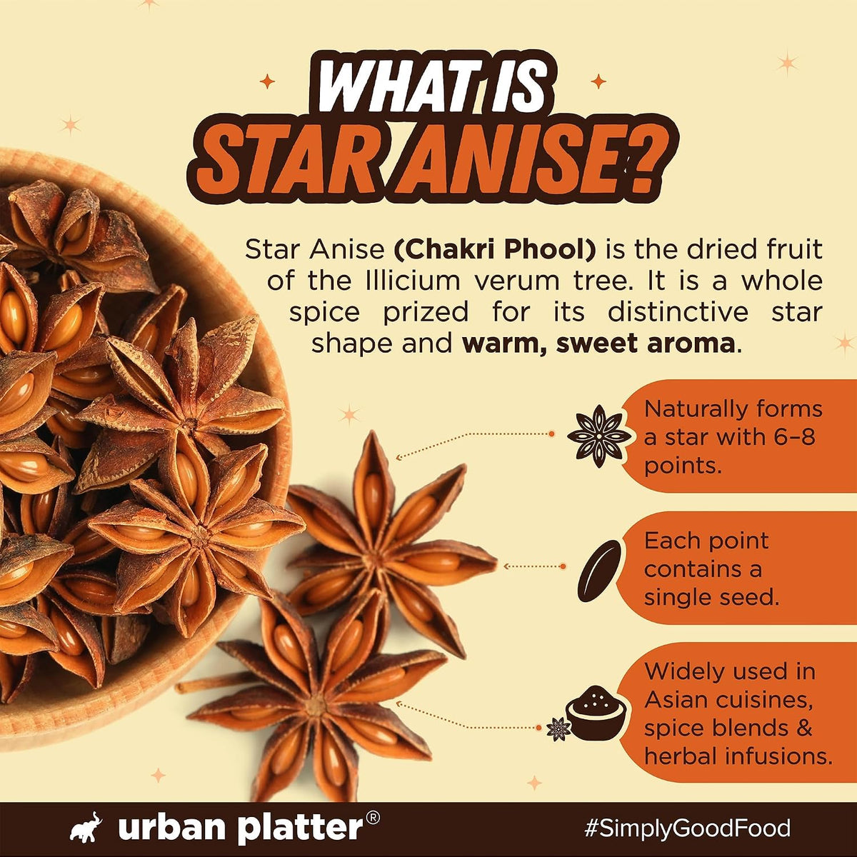 Urban Platter Star Anise, 50g (Chakri Phool | Warm, Licorice like Flavour | Highly Aromatic Spice used in Biryanis, Broths, Asian Cuisine & Baking)