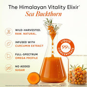 Wellbeing Nutrition Himalayan Sea Buckthorn Pulp With Curcumin Extract |Cold-Pressed, Liquid Concentrate Juice| Natural Vitamin C, Omega 3, 6, 7, 9 & Antioxidants |Supports Immunity, Skin Glow & Gut Health| 500ml