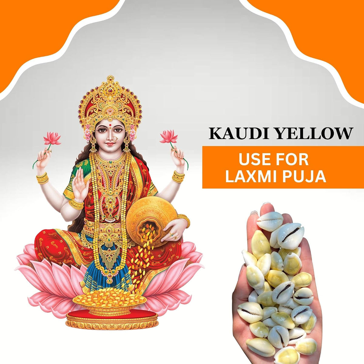 BrijBooti Natural Pili Kaudi - Yellow Kaudi - Yellow Kawri - Kodi - Peeli Cowrie - Laxmi and Diwali Puja Article (11 Pieces)