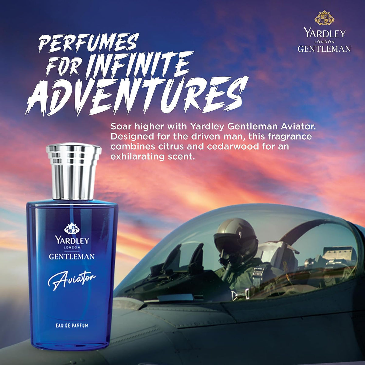 Yardley London Gentleman Aviator|England's Finest Fragrance|EDP Perfume For Infinite Adventure|30 ml